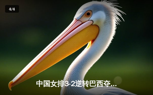 中国女排3-2逆转巴西夺冠，朱婷狂砍38分创纪录 - 4